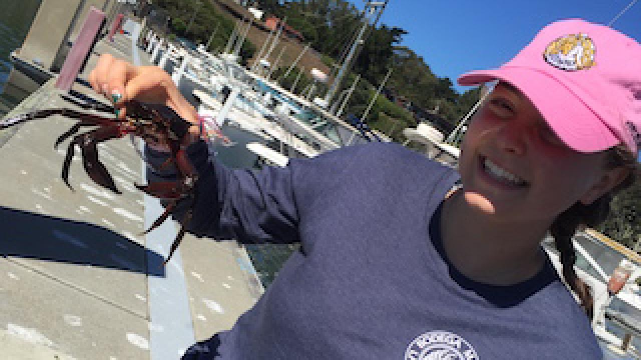 A person in a BML shirt and pink baseball cap holding up a crab