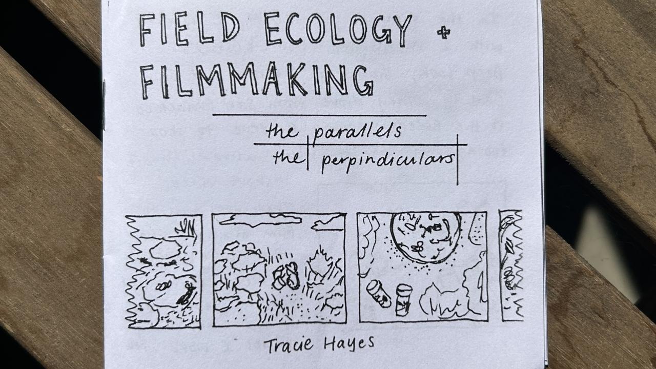 A paper zine with the title "Field Ecology + Filmmaking - the parallels, the perpindiculars" by Tracie Hayes, with hand drawn illustrations showing different field sites.