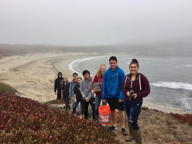 A group of students gathered in a line on the coastal bluff overlooking horseshoe cove. At their feet is a red swath of ice plant, behind them is the sandy beach and the ocean.