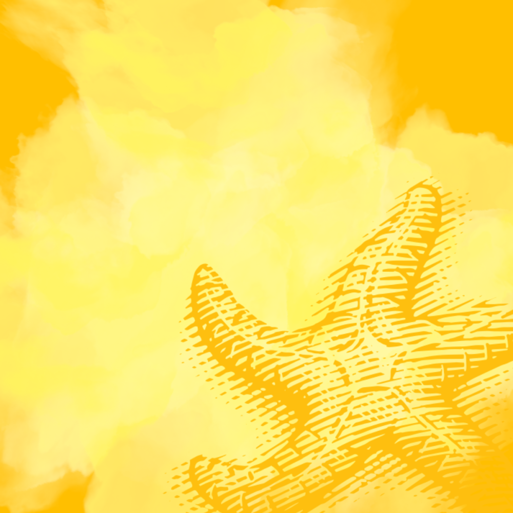 A vibrant gold background with a lighter watercolor overlay and a line drawing of a sea star