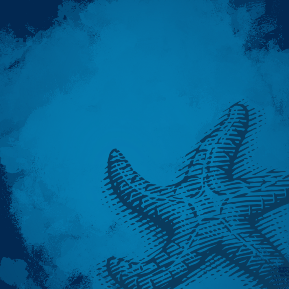 A deep blue background with a lighter watercolor overlay and a line drawing of a sea star