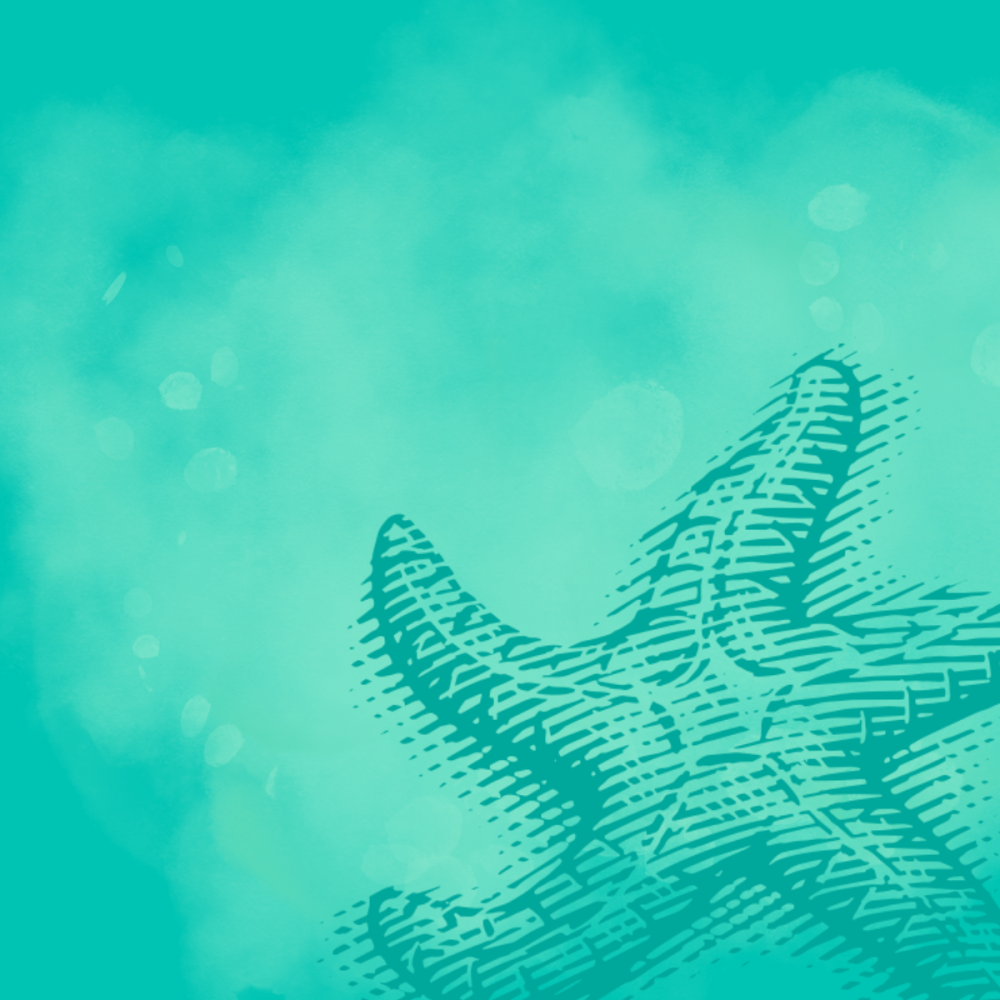A teal green background with a lighter watercolor overlay and a line drawing of a sea star