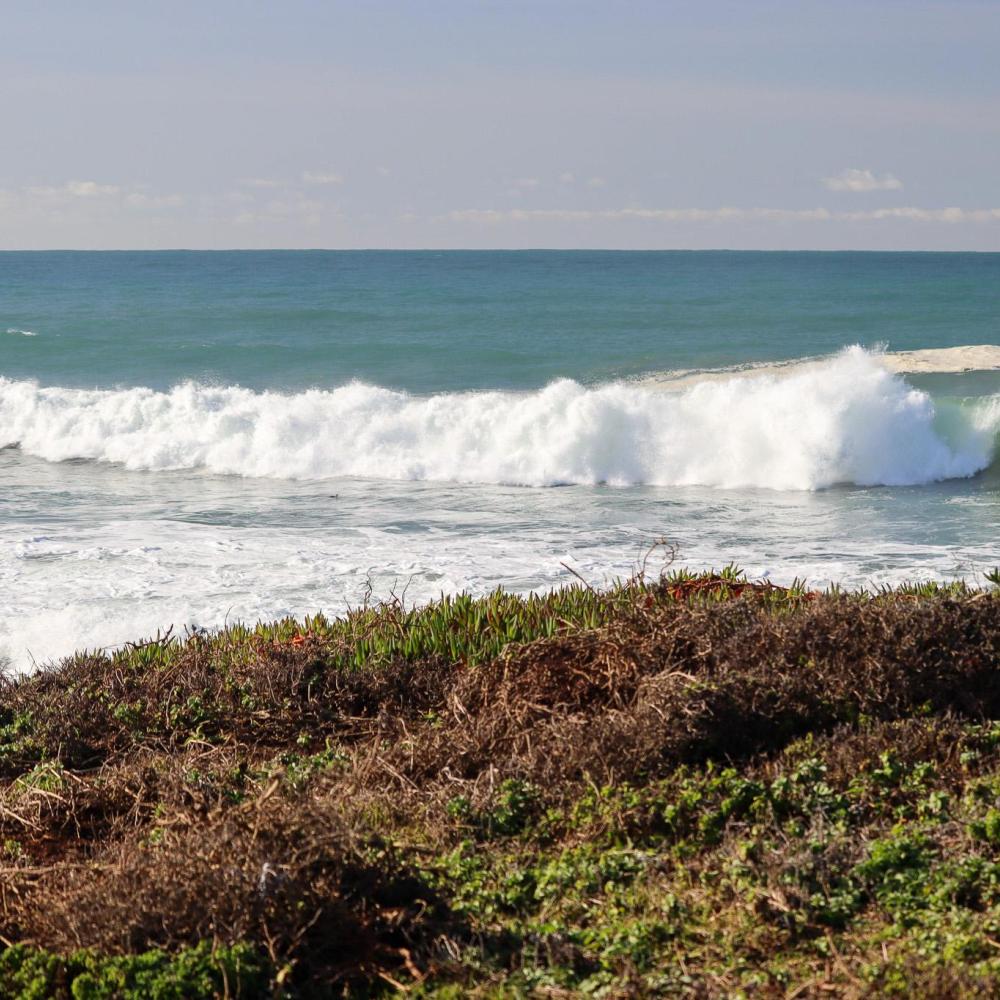 Waves rolling in on the Bodega Marine Reserve