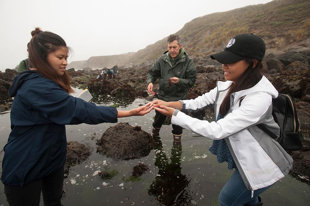 Students reaching towards each other over a rocky tidepool