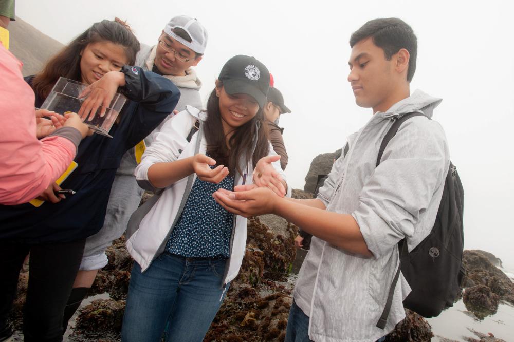 A group of students gathered around during a tidepooling expedition