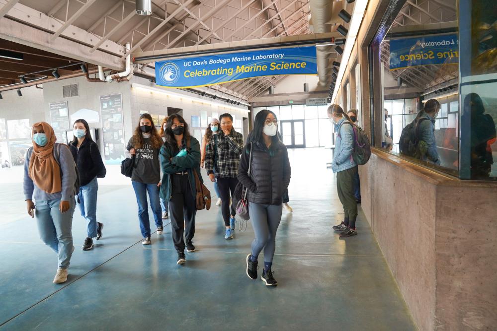 A group of students gathered in the Bodega Marine Laboratory Great Hall, looking at aquaria full of fish