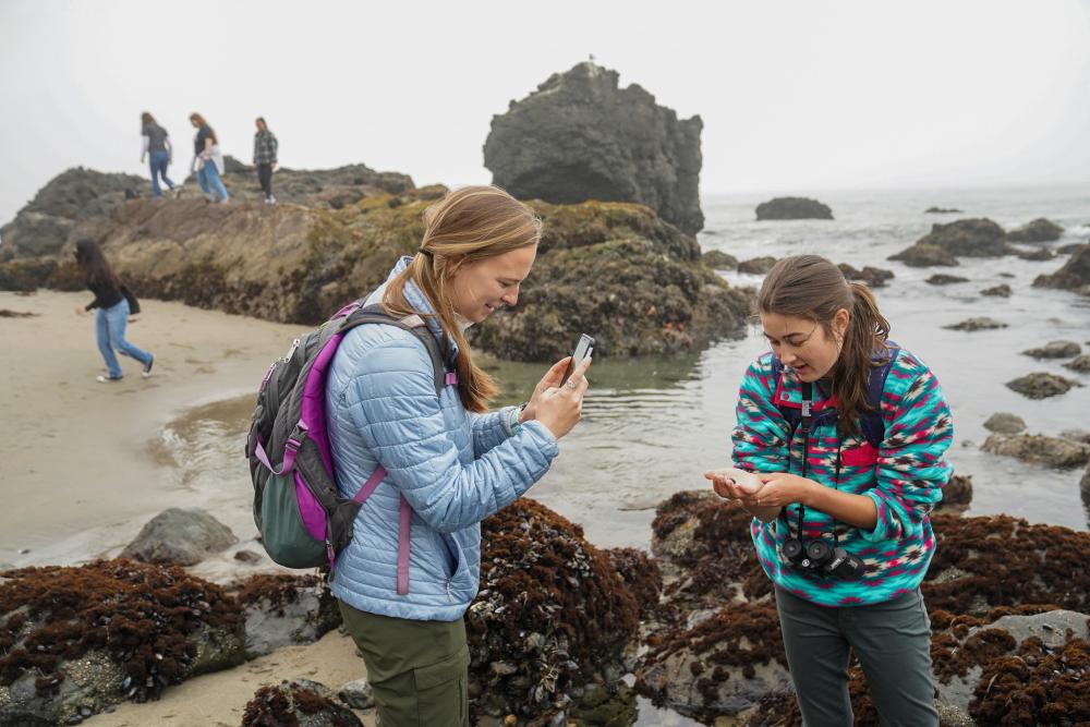Two students in the foreground, one holding a marine invertebrate while the other takes a photo with her phone. In the background, students climb on rocks along the edge of the shore.