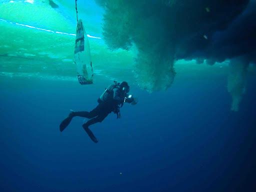 A scuba diver wearing fins and an oxygen tank against a backdrop of teal blue water.