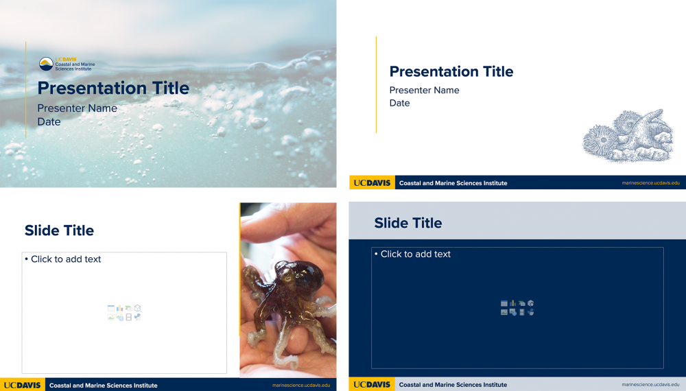 Four pages of a Powerpoint Template, showing different page layouts with photos and illustrations