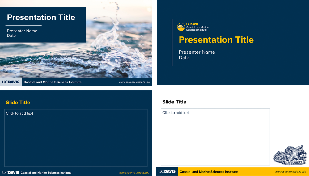 Four pages of a Google Slides Template, showing different page layouts with photos and illustrations
