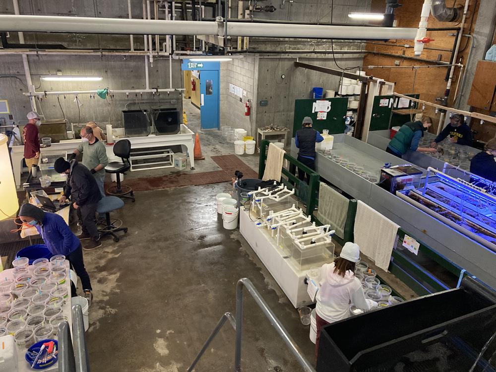 Photo perspective is shot from above, looking down at a lab space with several scientists working on separate projects throughout the room.