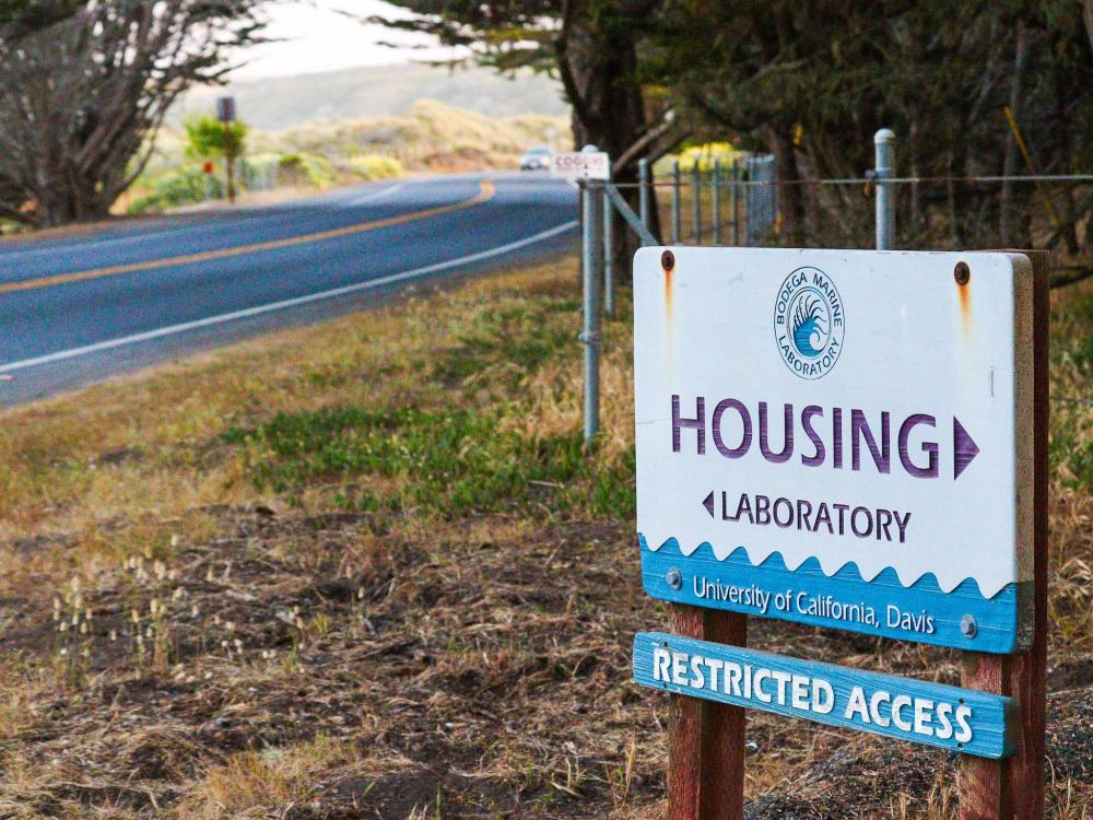 A view of the road to Bodega Marine Laboratory Housing, showing a sign pointing into the driveway