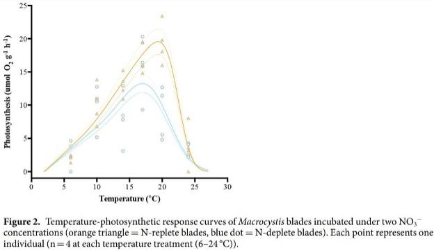 A chart that shows the relationship between temperature and photosynthetic response in macrocystis blades