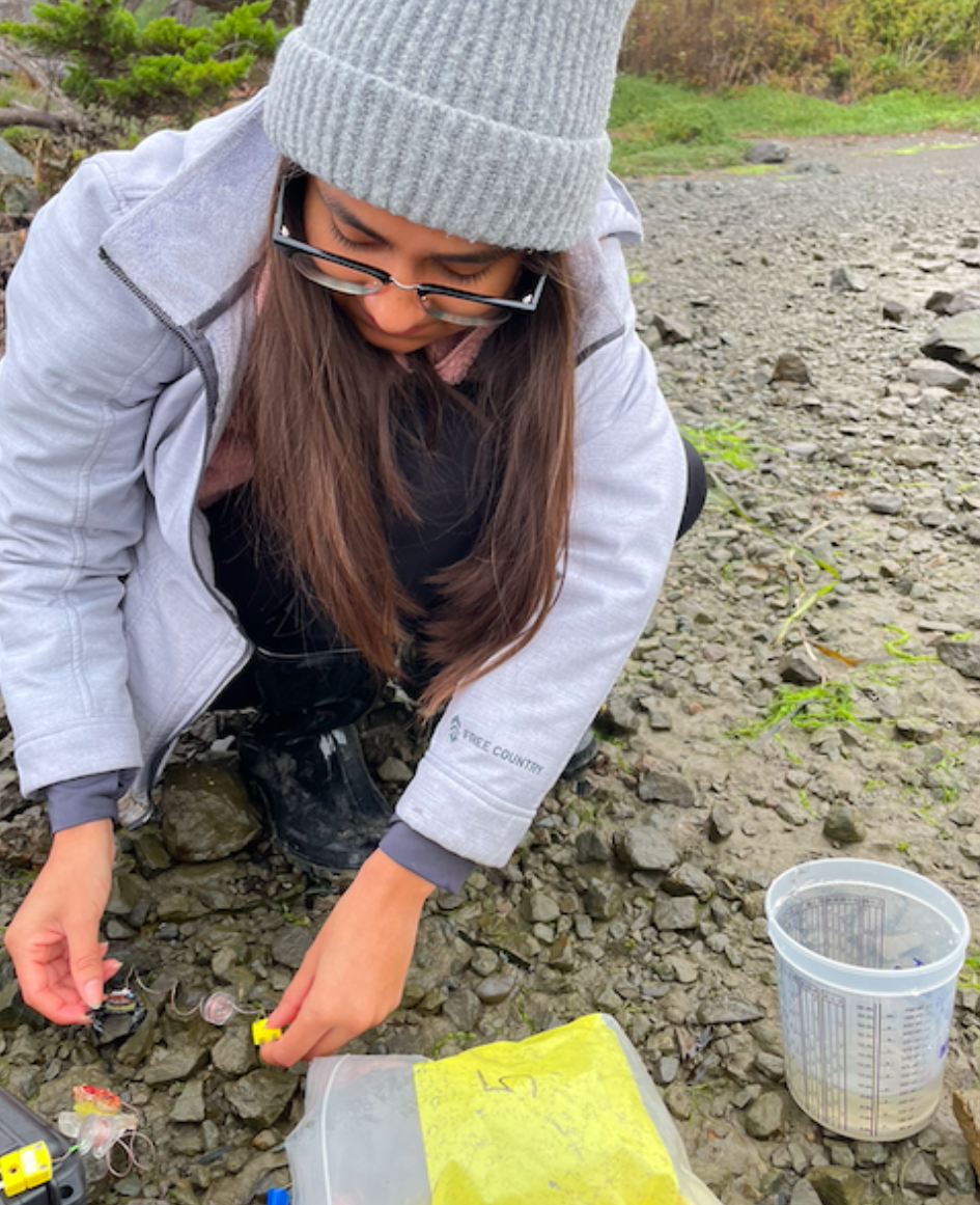 A person in a gray beanie and jacket leaning over to work on a research project on a sandy shore