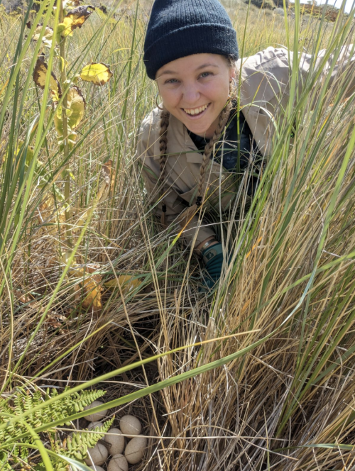 A person in a dark colored beanie kneeling down in high grass next to a nest full of eggs.