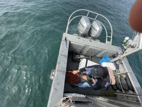 An overhead view of a person working in a boat