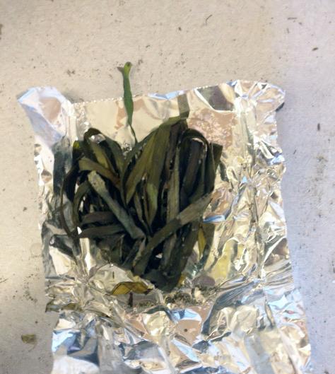 A dried bundle of eelgrass that resembles a heart shape