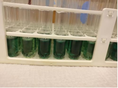 Vials of bright green liquid