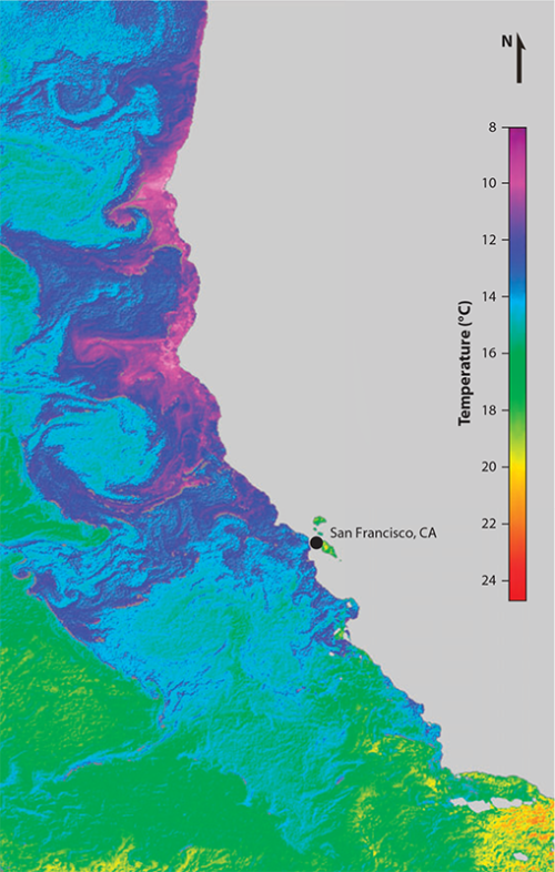  Graphique montrant les différences de température de l'eau, de pH et de nutriments associées aux panaches d'upwelling 