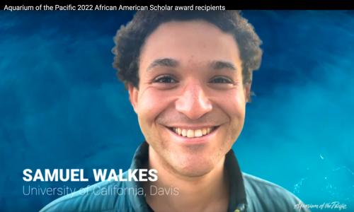A young person with short, curly dark hair smiling at the camera in front of a blue background. The text reads: Aquarium of the Pacific 2022 African American Scholar award recipients Samuel Walkes, University of California, Davis