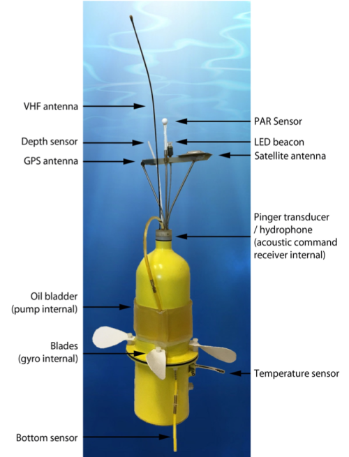 A diagram showing a long tubular yellow robot showing each of its parts