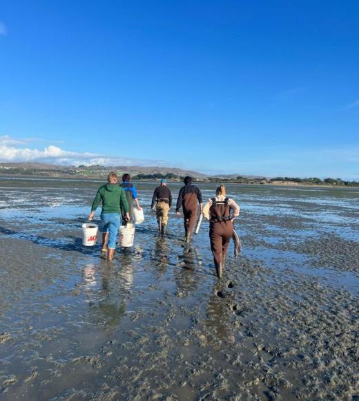Four people in high boots and waders walking through a mudflat under clear, blue skies