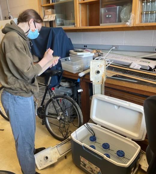 Student standing with a clipboard over a cooler of equipment recording data
