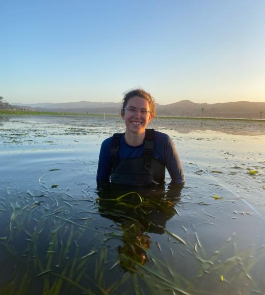 A person standing waist deep in shallow water with blades of grass poking out of it.