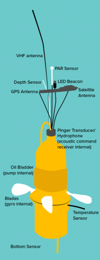  Diagramme montrant l'un des dispositifs de suivi utilisés dans l'expérience de recherche sur les larves robotiques.