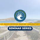 A view of Horseshoe Cove with the BML Logo and "Seminar Series" overlaid