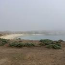 A foggy view of Horseshoe Cove