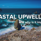 What is Coastal Upwelling and Why is it Important?