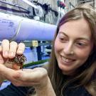 A photo of Madeline Jarvis-Cross holding a small abalone and examining it.