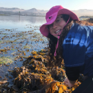 A person in a pink hat bending down over a large patch of giant kelp