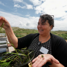 A portrait of Anya Brown standing next to a large tank of seagrass outside the Bodega Marine Laboratory