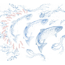 An illustration of three fish done in shades of light blue with wave like designs around them.